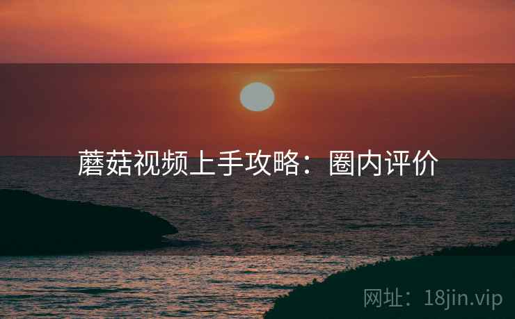 蘑菇视频上手攻略：圈内评价