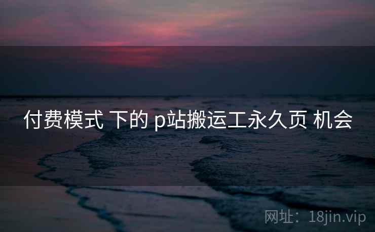 付费模式 下的 p站搬运工永久页 机会