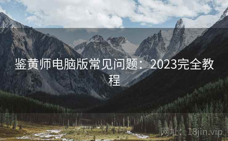 鉴黄师电脑版常见问题：2023完全教程