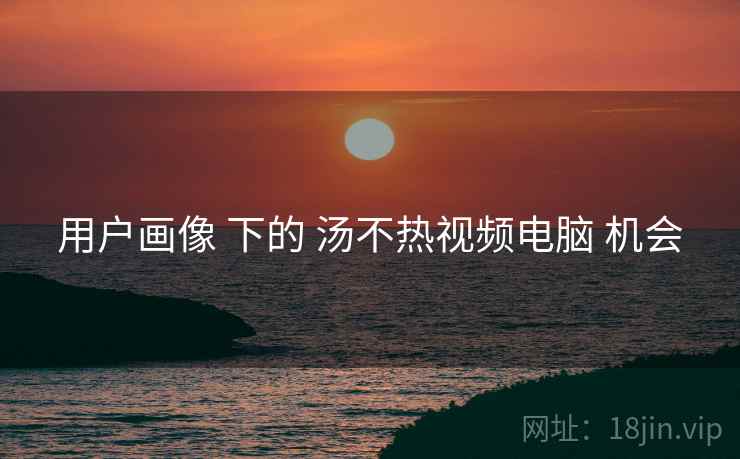 用户画像 下的 汤不热视频电脑 机会