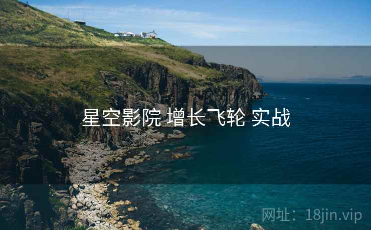 星空影院 增长飞轮 实战