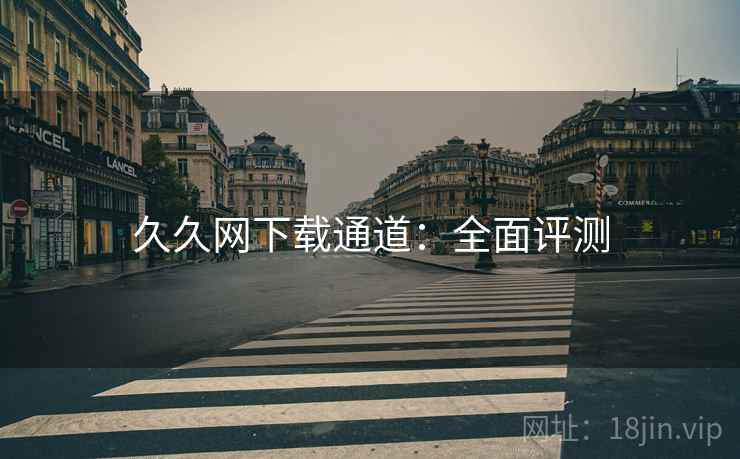 久久网下载通道：全面评测