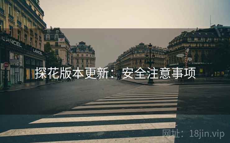 探花版本更新：安全注意事项
