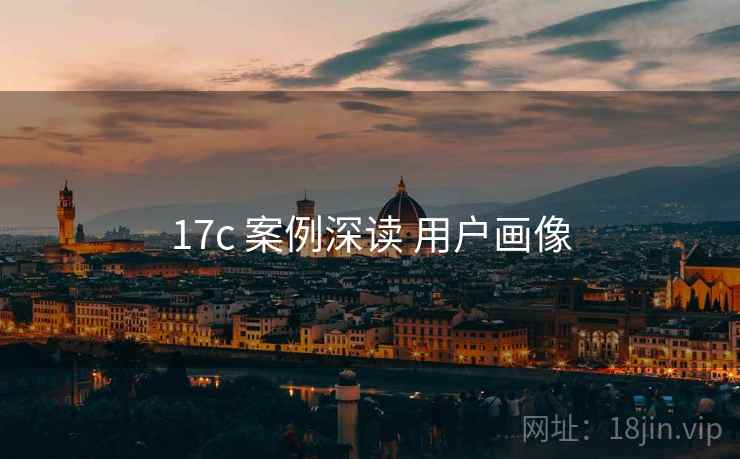 17c 案例深读 用户画像