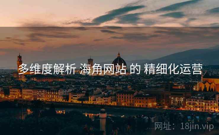 多维度解析 海角网站 的 精细化运营