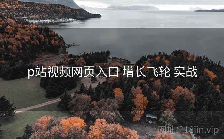 p站视频网页入口 增长飞轮 实战