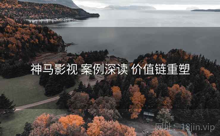 神马影视 案例深读 价值链重塑