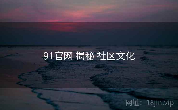 91官网 揭秘 社区文化